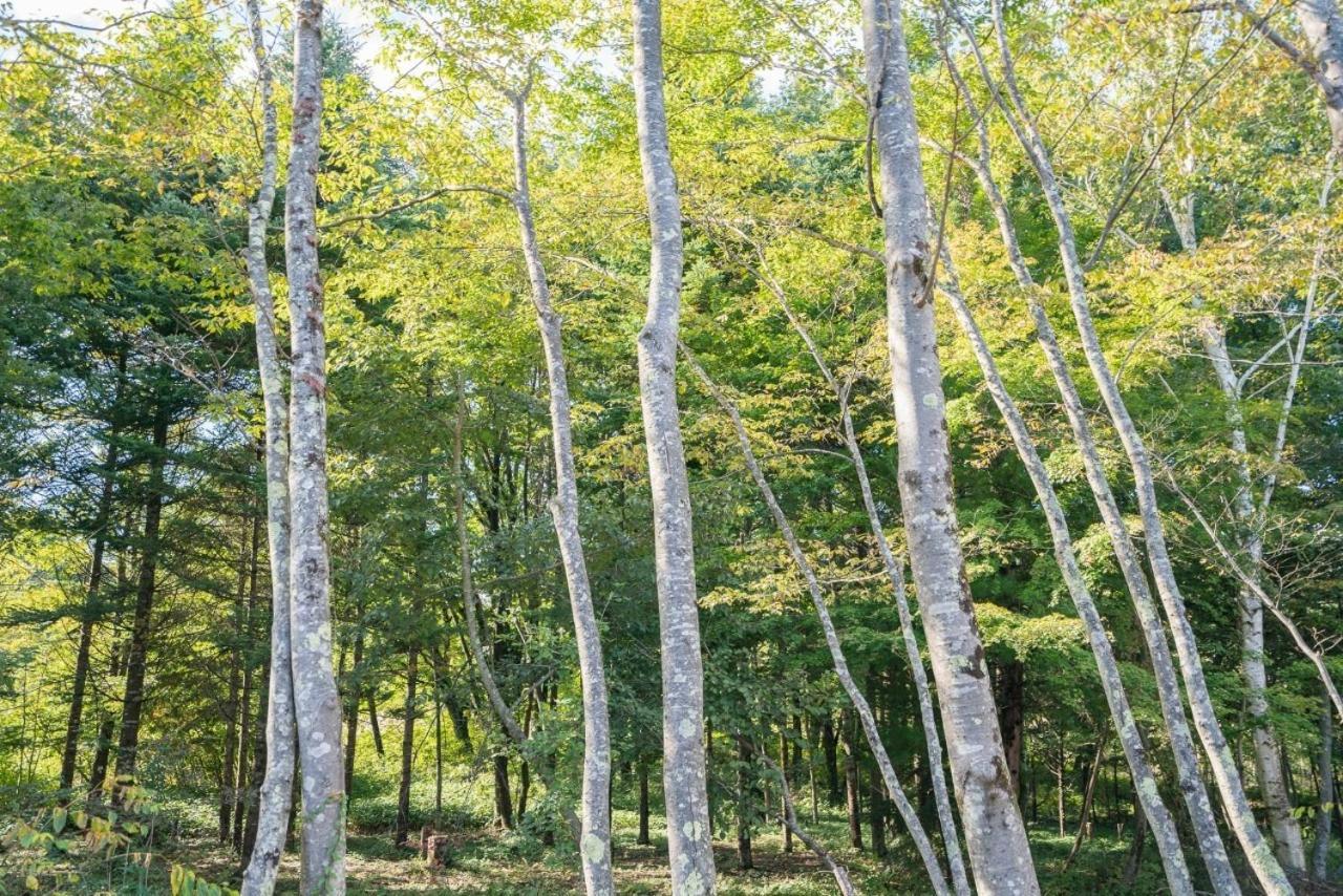 Fuji Fabric *